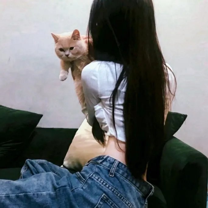 小夜莺